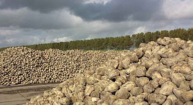 Pancar alım fiyatları güncellenmeli!