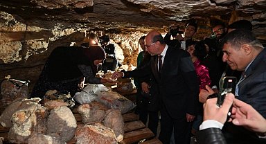 Peynir tulumundan ilk hasat