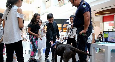 Sakarya'da Pati Festivali'nde renkli görüntüler