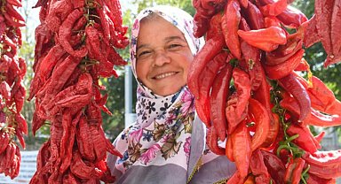 Silivri Sayalar'da hem biber, hem hizmet şenliği