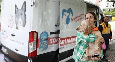 Sokak hayvanları ambulansı Eyüpsultan'ın mahallelerinde