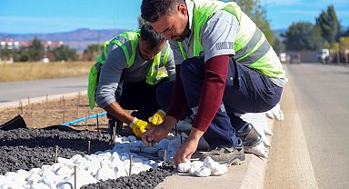 Su krizine karşı kuru peyzaj çözümü