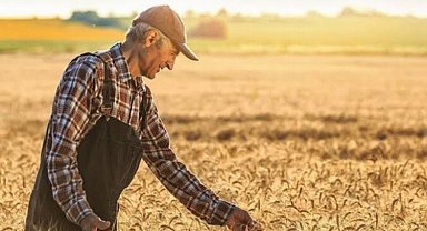 Tarım Ürünleri Üretici Fiyat Endeksi yıllık yüzde 72 arttı