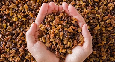 Türkiye kuru üzüm üretiminde açık ara dünya lideri