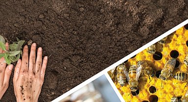 169 milyon TL'lik tarımsal destek hesaplarda