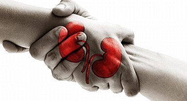 28 bin kişi organ bekliyor! Organ bağışı hakkında merak edilenler...