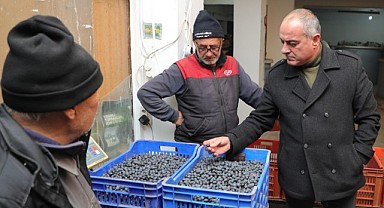 Başkan Sertaslan devreye girdi, fiyatlar arttı