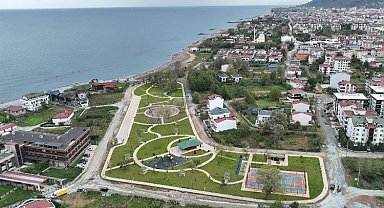 Bataklık yaşam alanına döndü