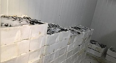 Bursa Balık Hali'nde sıkı denetim