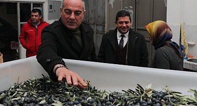 Bursa Gemlik'te zeytin çiftçisine yapılan destekleri anlattı