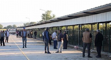 Bursa İnegöl Hayvan Pazarı yeniden hizmette