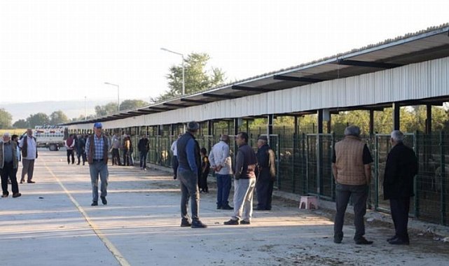 Bursa İnegöl Hayvan Pazarı yeniden hizmette