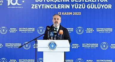 Bursa’nın zeytininde hasat vakti