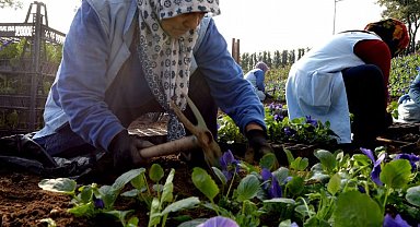 Bursa Osmangazi'de 400 bin çiçek toprakla buluşuyor