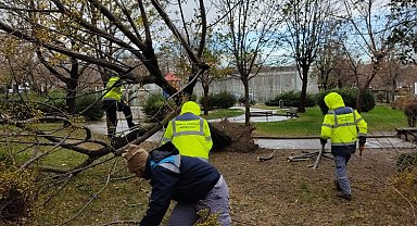 Bursa Yıldırım'da lodosla etkin mücadele