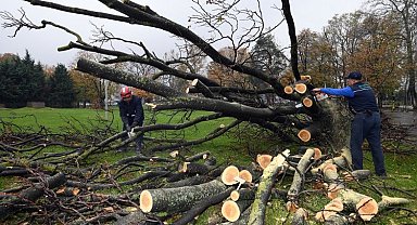 Bursa'da devrilen 350 ağaç kaldırılıyor