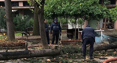 Bursa'da Osmangazi'de lodos mesaisi