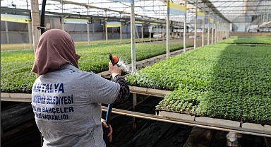 Çiçek ve bitkilerle yıllık 22 milyon lira tasarruf ediyor