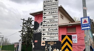 Deveci armudunun üretildiği Gürsu'nun köylerinde beklentiler neler?