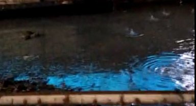 DSİ'nin hatası Akçeşmeli vatandaşın ağılına zarar verdi!