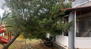 Edirne Keşan'da fırtına hasarı! Ağaç evin üzerine devrildi!