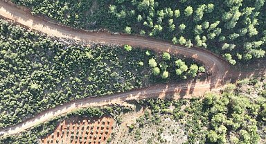 Hataylı üreticiler bu yolla nefes alacak