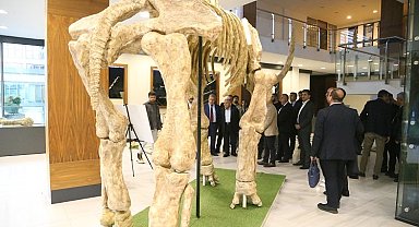 Kayseri Büyükşehir fosil faunasını canlandıracak