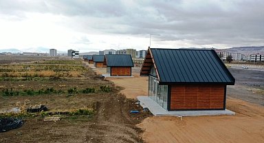 Kayseri Kocasinan'ın örnek tarım projesine hanımeli