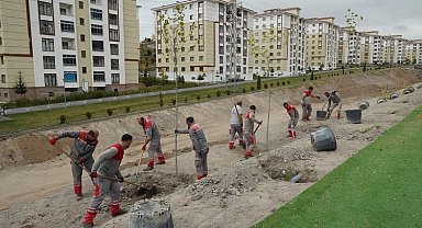 Kayseri Melikgazi'de ilçe yeşile boyanıyor