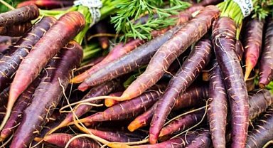 Kırmızı havucun faydaları saymakla bitmiyor!