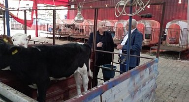 Kocaağa: Sığır yetiştiricilerimizin yanındayız