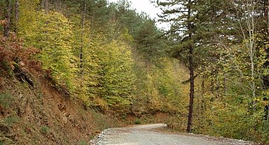 Küçükelmalı Tabiat'ta sonbahar