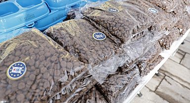 Kütahya'da sokak hayvanları yalnız bırakılmıyor