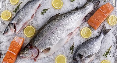 Levreği İngilizler, Çipura'yı İtalyanlar sevdi