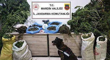 Manav değil uyuşturucu satıcısı