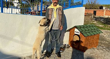 Manisa'da bir 'can dost' daha yuvasında