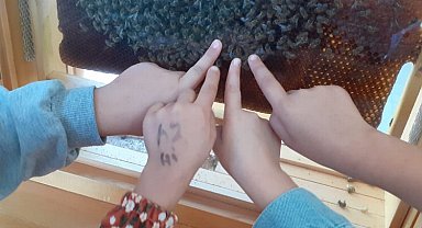 Manisalı minikler arıların dünyasını keşfetti