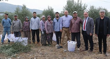 Manisalı üreticilere Büyükşehir desteği Saruhanlı'da sürdü