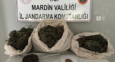 Mardin'de uyuşturucu operasyonu! 7 kişi tutuklandı