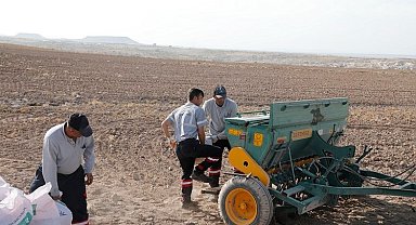 Nevşehir Belediyesi'nden yerli tohum ekimi