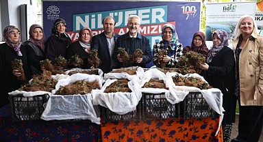 Nilüfer Belediyesi’nin desteğiyle çilek üretimi artıyor