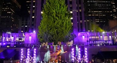 Noel ağacı ışıklandırma töreninde Filistin protestosu!