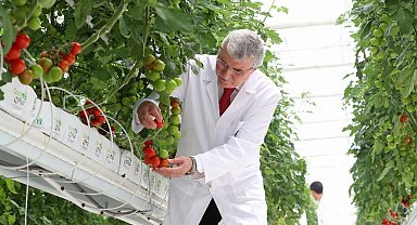 Sakarya üretiyor Türkiye kazanıyor... 5 aylık hasatla rekor 'Mükemmeliyet'