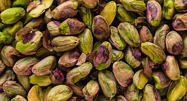 Selendi fıstığına Salihli TSO'dan coğrafi tescil başvurusu