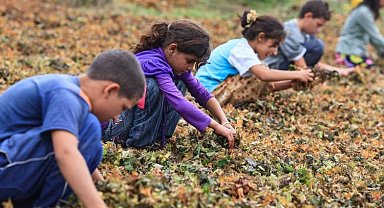 Yoksulluk çocukları çalışmaya zorluyor