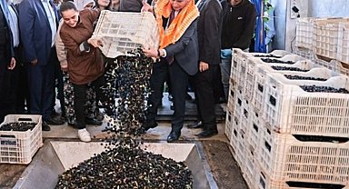 Zeytin üreticilerinin tesis sevinci