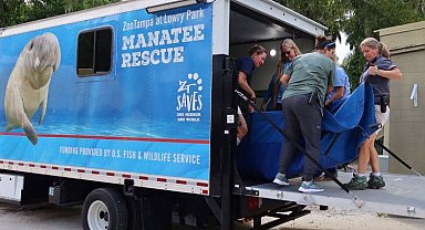 2023'ün en sıra dışı 5 teslimatı!