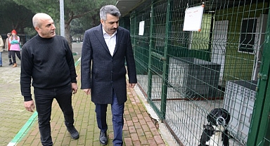 Bursa Yıldırım'da can dostlara şefkat eli