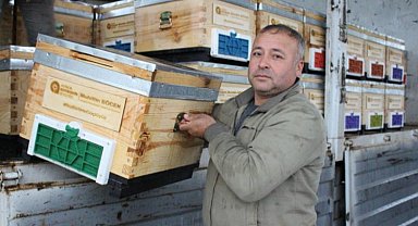Antalya Kemer'de arı üreticilerine kovan desteği