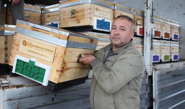 Antalya Kemer'de arı üreticilerine kovan desteği